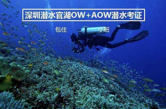 大数据赋能,为平安“加码”,乳山公安护民平安!